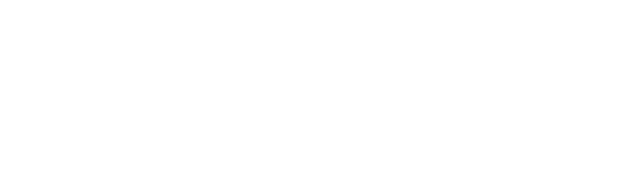 Lawyer's Protector Plan