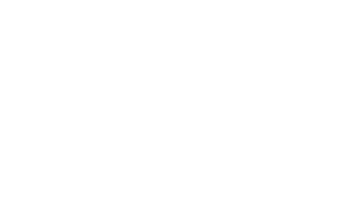 Lawyer's Protector Plan
